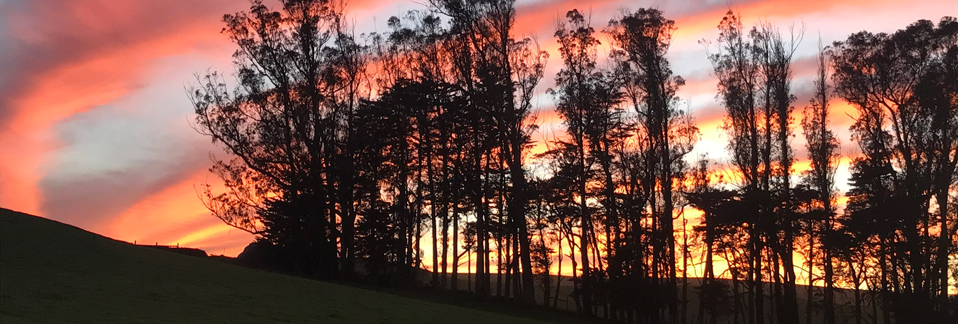 Sun setting on the farm behind many trees with clouds in the sky